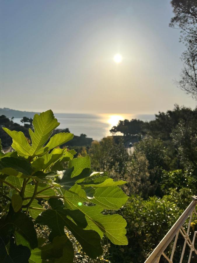 Limonaia In Salento Vila Marittima Exterior foto