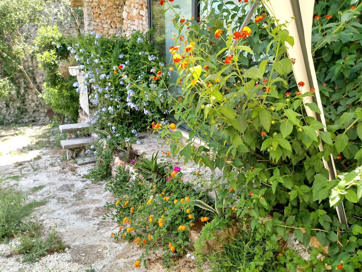 Limonaia In Salento Vila Marittima Exterior foto