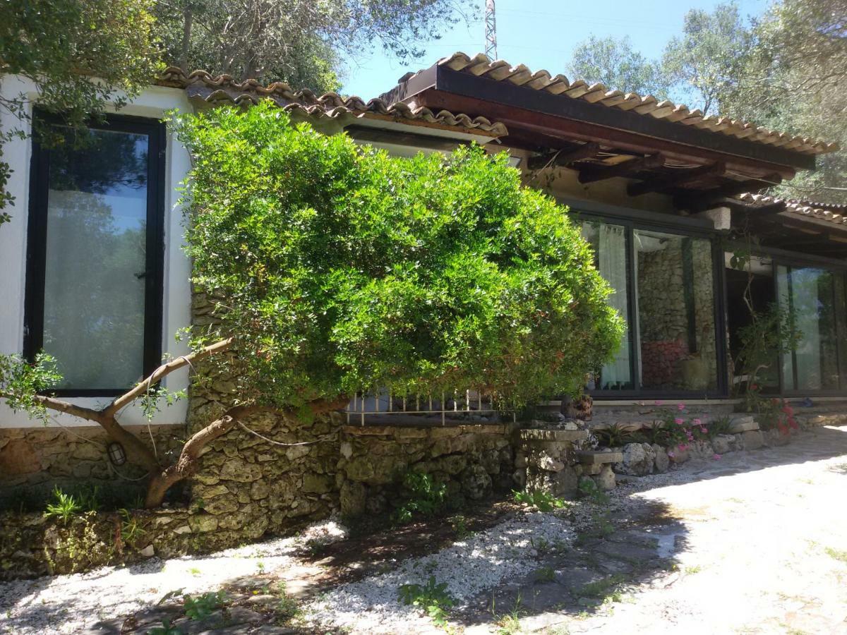 Limonaia In Salento Vila Marittima Exterior foto